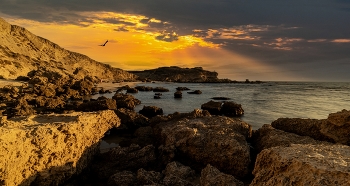 Закатная история / Израиль