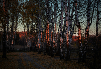 последний луч / ***