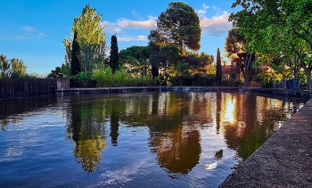   / Reus - Boca de la Mina (bassa del Bacallà) - Baix Camp