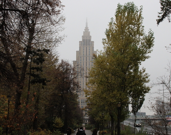 Туман в городке / ***