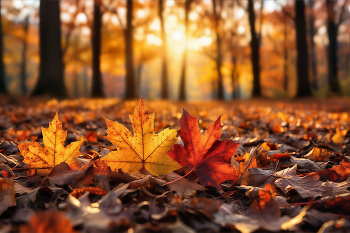 Октябрь / ***