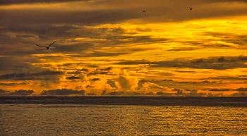 Вечер на острове Бёрд / Сейшельские острова, остров Бёрд