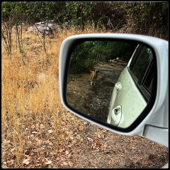 Город, прощай! / Город, прощай!