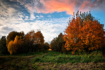 Осенняя пора / Снято в саду