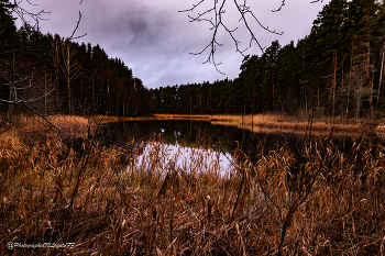 Тверская область, Осень / Место съемки: Россия, Тверская область
Фотограф: https://vk.com/vvlopatoff