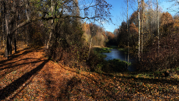 Снова осень закружила карусель мелодий... / Осень.