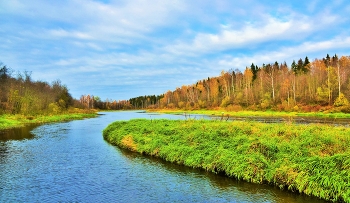 &quot;Октябрь, как рыжий клоун, то плачет, то смеется...&quot; / &quot;Октябрь, как рыжий клоун, то плачет, то смеется,
 На скрипке то минорит, то дарит вновь мажор.
 Деревья гнет в поклоны, коль ветер плеткой вьется...
 Но больше - солнцу вторит листвяный дирижер!&quot;
 Н.Самоний