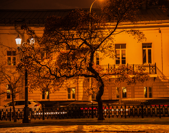 замри / замри