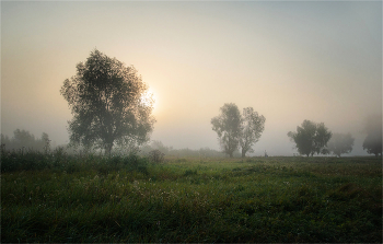 Безмятежность / ***