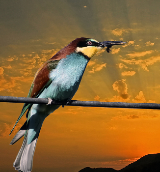 Вечерня трапеза / ***