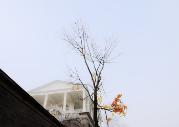 Царскосельские парки 3 / ...