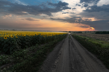 Дорога в август / ***