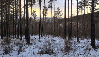 Сумерки / ***