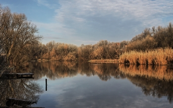 Поздняя осень / Вечерний сюжет из городской среды, Серпухов 2014 год.