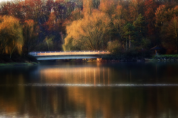 Фантазия / ***