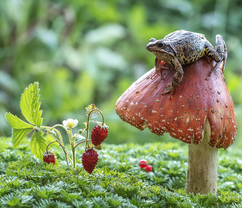 На троне) / На троне)