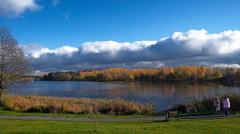У озера. / Цнянское водохранилище. Минск. Беларусь. 29.10.2025
