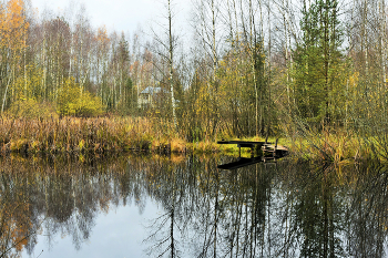 "Вот-вот ноябрь придет предзимний ..." / "Вот-вот ноябрь придет предзимний.
 И с неподвижной тишиной
 Высь над домами станет дымней,
 Сад будет в шапке меховой ..."
 Н.Самоний