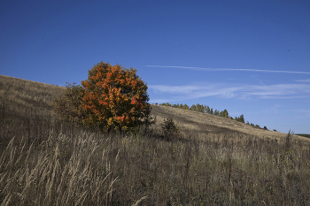 &nbsp; / Октябрь