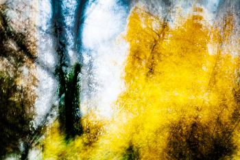 Осень / Последние цветные штрихи