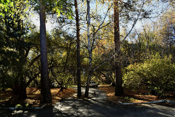 В сентябрьском парке / ***