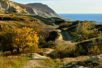31 октября / Краски осени .