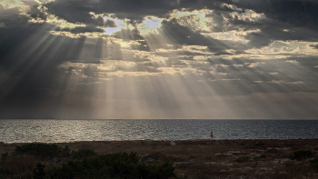 Утренняя пробежка / Пробежка утром так прекрасна,
Сияет солнце в небе ясном,
И я бегу, бегу, бегу...