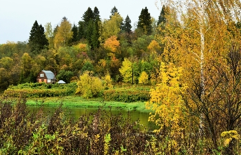 "Все разошлись. На прощанье осталась оторопь желтой листвы за окном..." / "Все разошлись. На прощанье осталась
 Оторопь желтой листвы за окном.
 Вот и осталась мне самая малость -
 Шорохи осени в доме моем ..."
 А.Тарковский