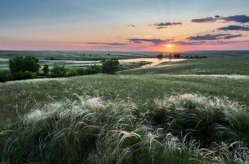 Сверкающая степь / ***