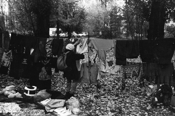 витрина / парк