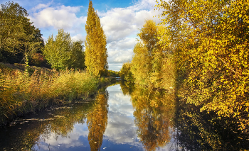 Золото канала / ***