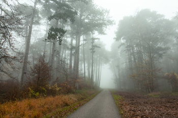 Ну вот и ноябрь... / ***