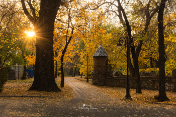 Осенние зарисовки... / Центральный парк культуры и отдыха имени М. Горького
г. Алматы