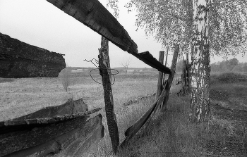 какой-то странный пейзаж / рубить нельзя оставить