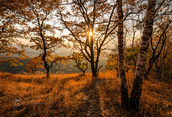 Осень в лесу / Кисловодский парк.
Из фотопроекта «Открывая Ставрополье».