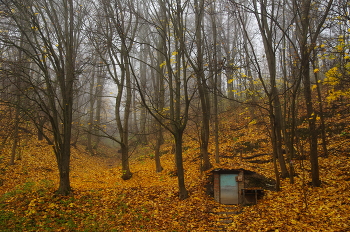 Шир уже не тот / ***