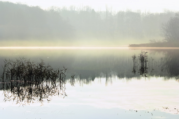 Ноябрьский туман / Утро на пруду
