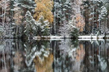 Припорошило.......... / Санкт-Петербург. Осиновая Роща. Октябрь