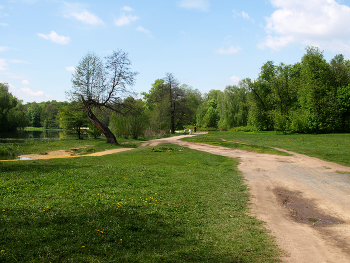 Кузьминский парк / В Кузьминском парке в Москве. Май 2024.