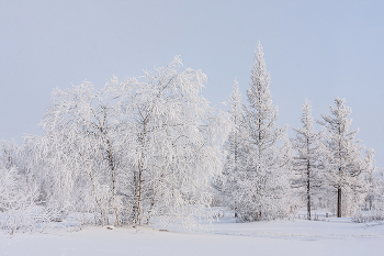 Зимняя сказка / Зимний пейзаж в ямальской тундре