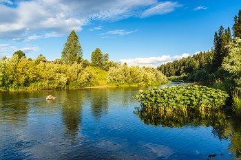 Барзас / Р. Барзас, Кузбасс.