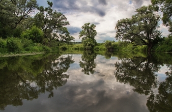 Подмосковье, ненастный день. / Летний пейзаж из Подмосковья. Река Нара Серпуховский район.