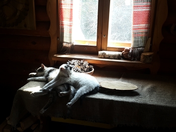 натюрморт :) / ***