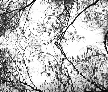 Отражение / ***