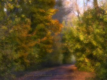 Осенняя сказка / Из старого