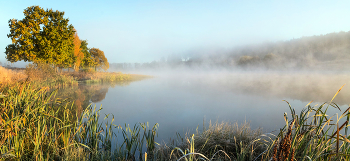 Осенние туманы. / осеннее утро