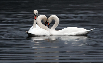 Третий лишний... / ***