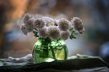 А белых хризантем осенний сладок плен... / Этюды осени.