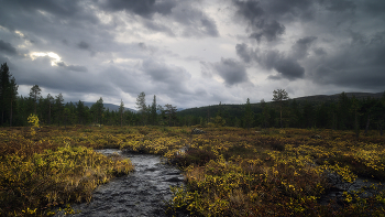 Ручьи и болота / Хибины, в долине реки Гольцовки, сентябрь.