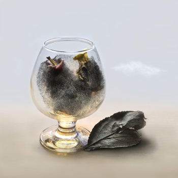 Черная плесень / Тлен ,время беспощадно ко всему живому